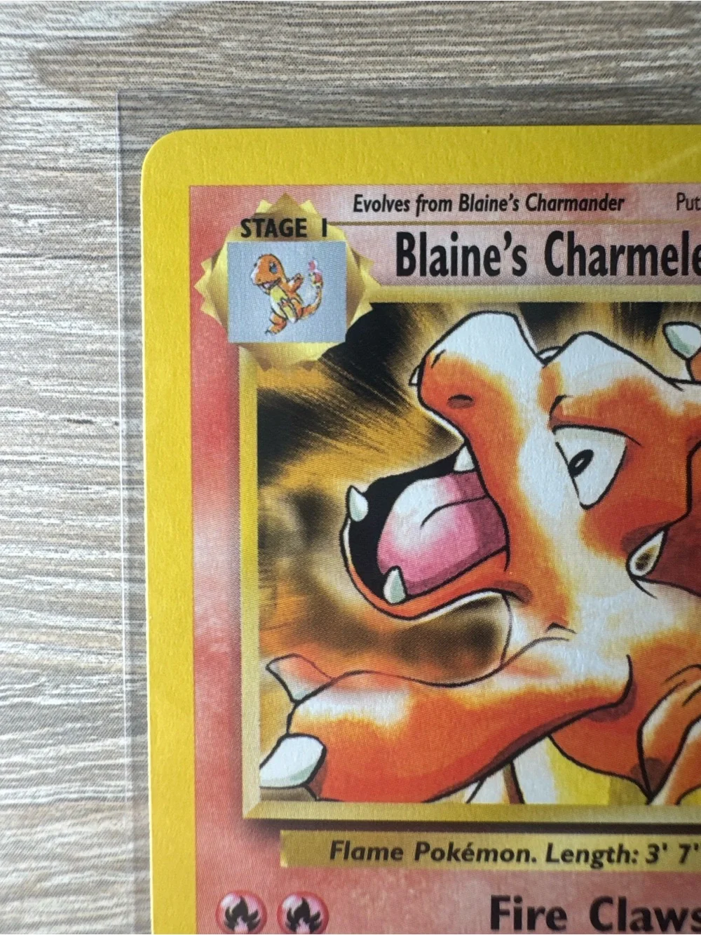 Blaine's Charmeleon #31/Pokemon Gym Challenge - Picture 2 of 11